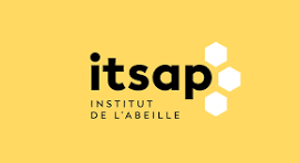 logo itsap